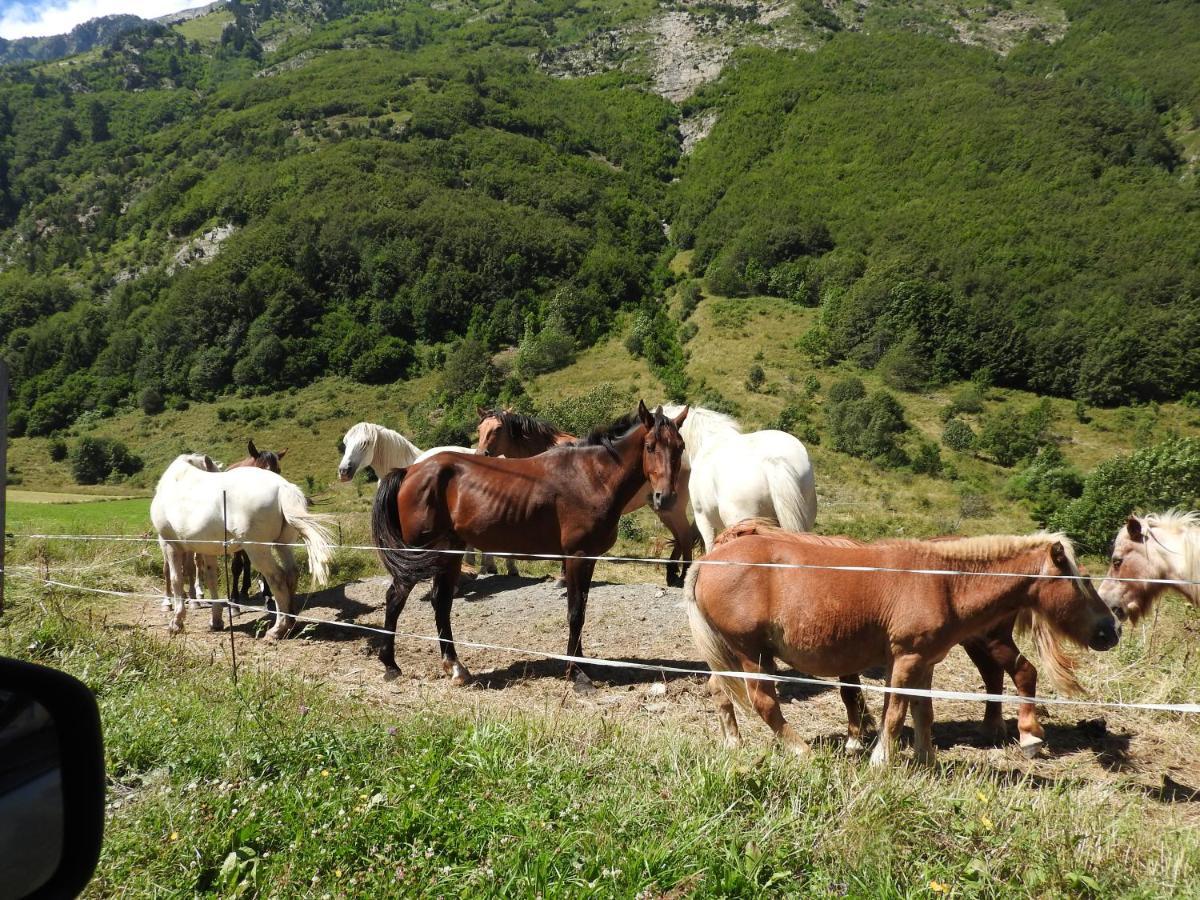 Gite Au Printemps Japonais, Petit Train De La Mure, Parc Des Ecrins Pierre-Chatel Exterior photo